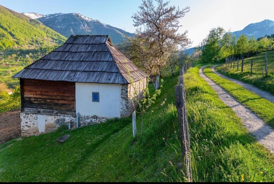 Household Babovic - Old House Miljan'S Valley Andrijevica Zewnętrze zdjęcie