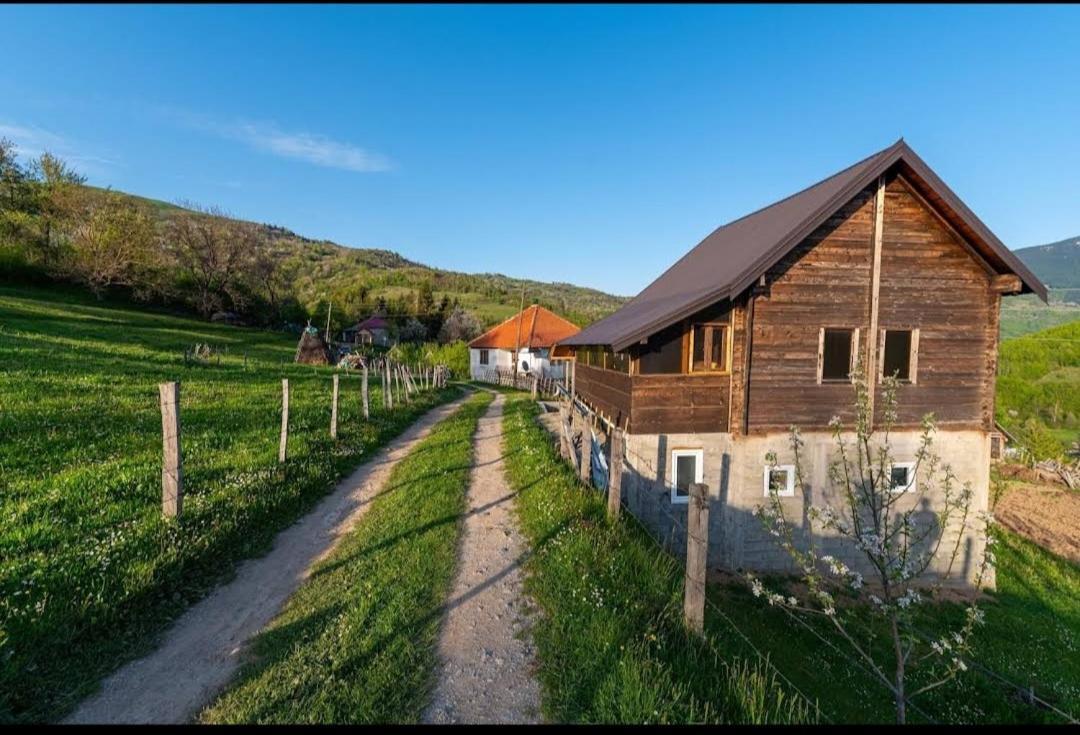 Household Babovic - Old House Miljan'S Valley Andrijevica Zewnętrze zdjęcie