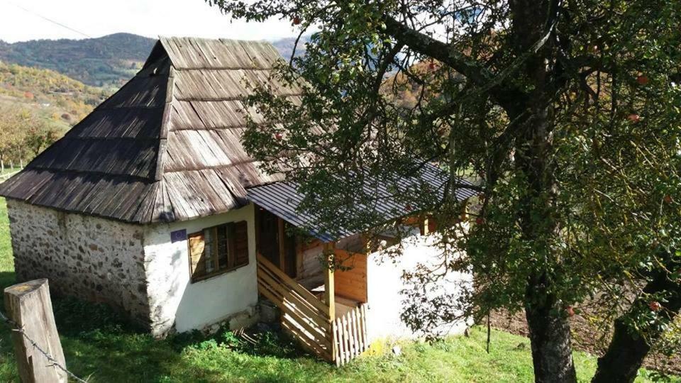 Household Babovic - Old House Miljan'S Valley Andrijevica Zewnętrze zdjęcie